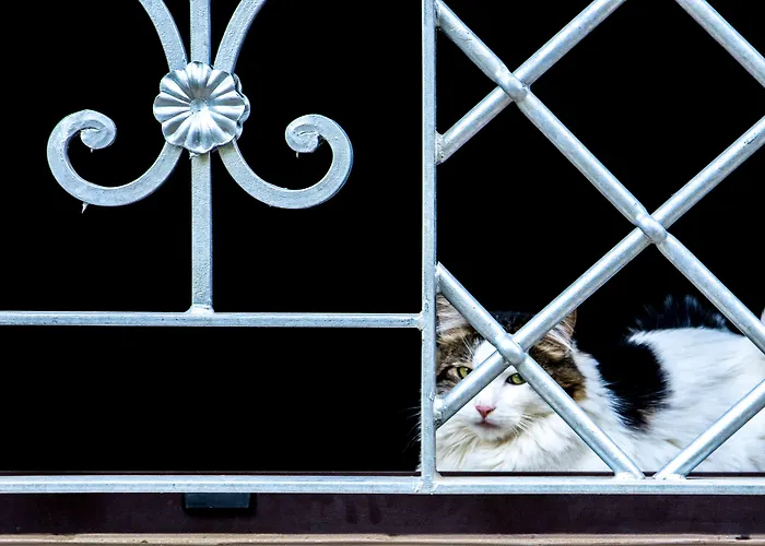 בית כפרי Le Colline Del Gelso-masseria Mazzei Solfara Mare