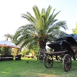 Country house Le Colline Del Gelso-masseria Mazzei Solfara Mare