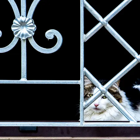 Country house Le Colline Del Gelso-masseria Mazzei Rossano